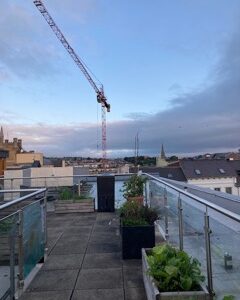 Crane in Action 1